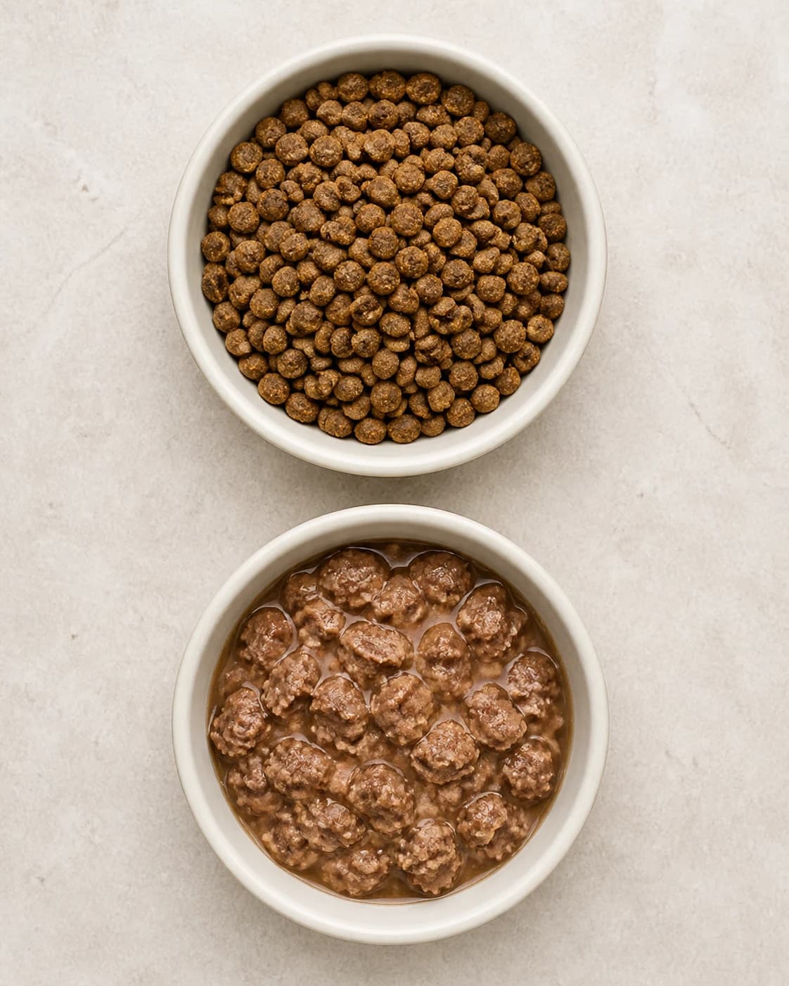 Two bowls of wet and dry pet food viewed from above